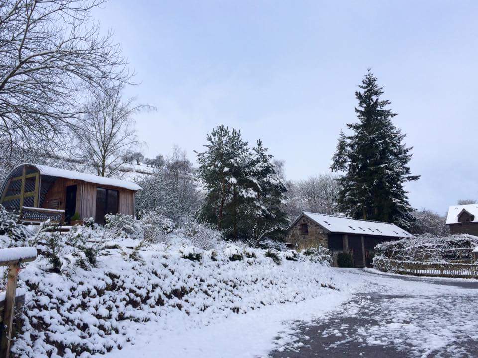 morphut's tweet image. Our 3 #MorphPOD s loving their #Whitestuff coats @Brandyhouse .Bring your sledge &amp;amp; book a stay @WhiteStuffUK @glyndwrsway @WalesInStyle