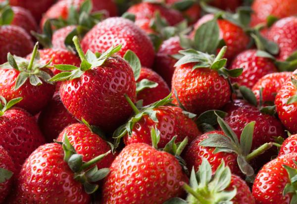 MikeBaess's tweet photo. A Lancashire grower has got the first UK #strawberries of the year on #Tesco shelves. More here - https://t.co/FlBSC7UgPj https://t.co/RYhZ9nM4rj