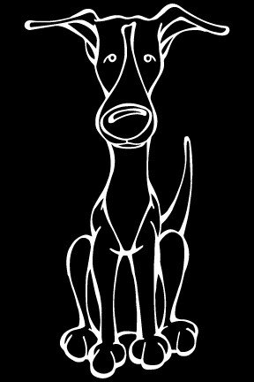 decaldogs's tweet image. Decal Dog of the Day: Whippet, Get a Car Window Sticker. decaldogs.com #dogsoftwitter #Whippet