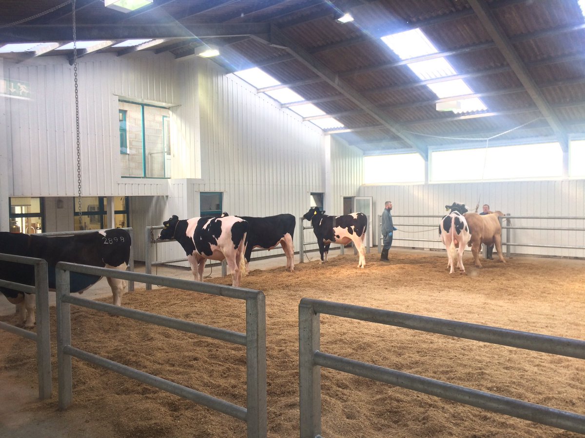 HartpuryAg's tweet photo. EDA3 and DA2 students have enjoyed a trip to @GenusABS bull stud in Ruthin today #teamdairy #genetics https://t.co/MT0oaHKTHx
