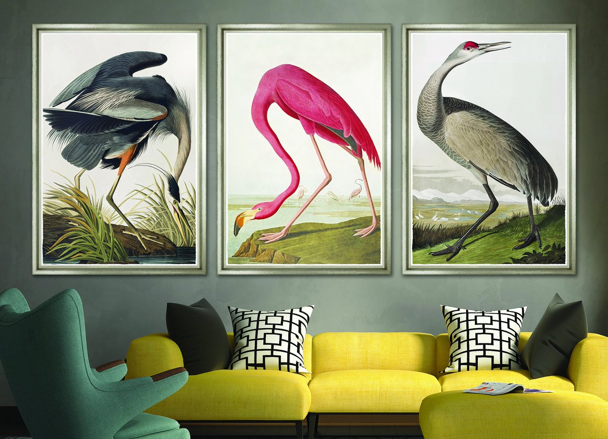 17th Century painter John James Audubon’s bird paintings look so modern we just had to herd the best together ow.ly/mitl308OdxV