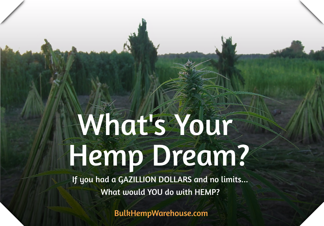 bulkhemp's tweet photo. If you had a GAZILLION DOLLARS &amp; NO LIMITS...what would you do with HEMP? #HempAware #BulkHempWarehouse https://t.co/9ocnahbCon