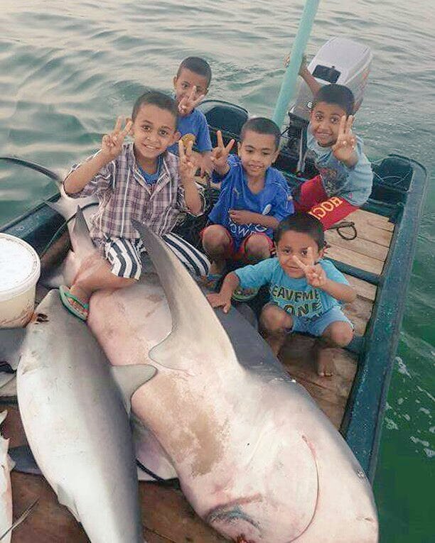 صورة اليوم 💞
#شباب_عمان الجيل القادم من #البحارة
ستسمر الأجيال في ممارسة مهنة الأجداد
من صديقكم
#باسم_عبدالله_اليوسفي

#شبكة_هواة_صيدالأسماك