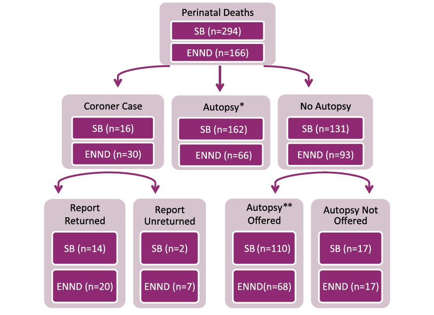 In Ireland in 2015, an autopsy was undertaken following 55.3% of stillbirths and 41.5% of early neonatal deaths #NPECPM15
