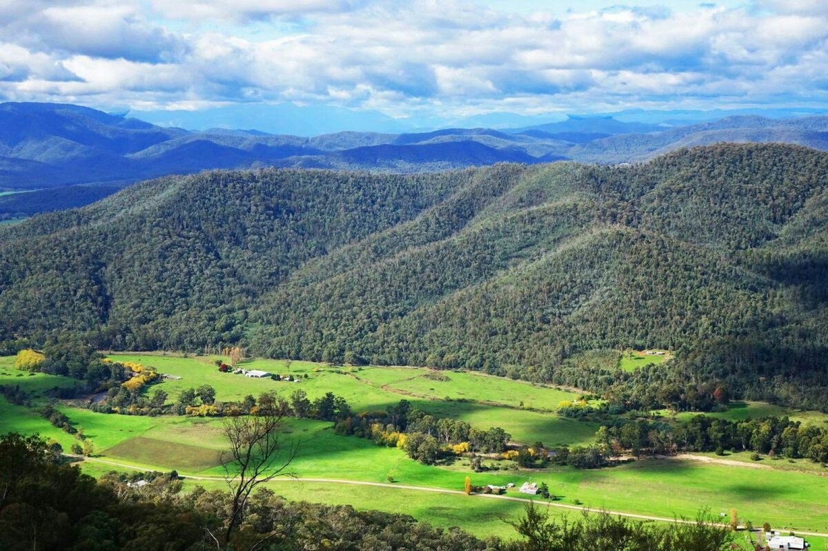 pencallanan's tweet photo. King Valley, Victoria. A 3 hour drive from Melbourne #views #kingvalley #poweroutlook #amazing #victoria https://t.co/RoPMmQ0GaZ