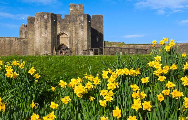 visitwales's tweet photo. CADW is offering free entry to all sites tomorrow in celebration of the Patron Saint of Wales #StDavidsday https://t.co/dotOszvq8B https://t.co/5I2Bwmh0dB