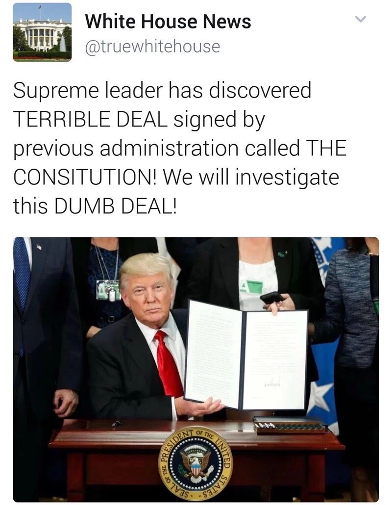 DemocratDignity's tweet image. Only 1 month into the presidency and Donald Trump already has beef with the constitution