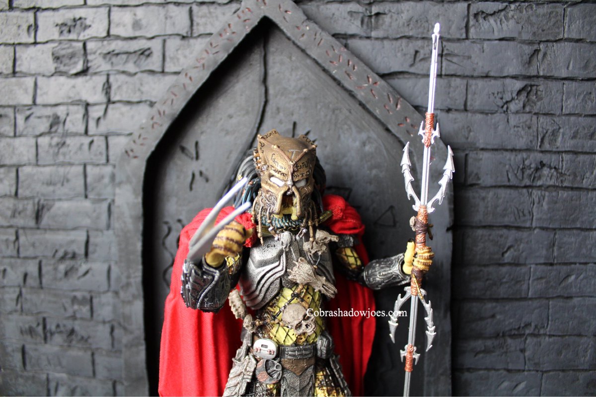 CobraShadowJoes's tweet photo. He's the #Elder for a reason @NECA_TOYS #predator #AVP https://t.co/N7jZ7EiwYE