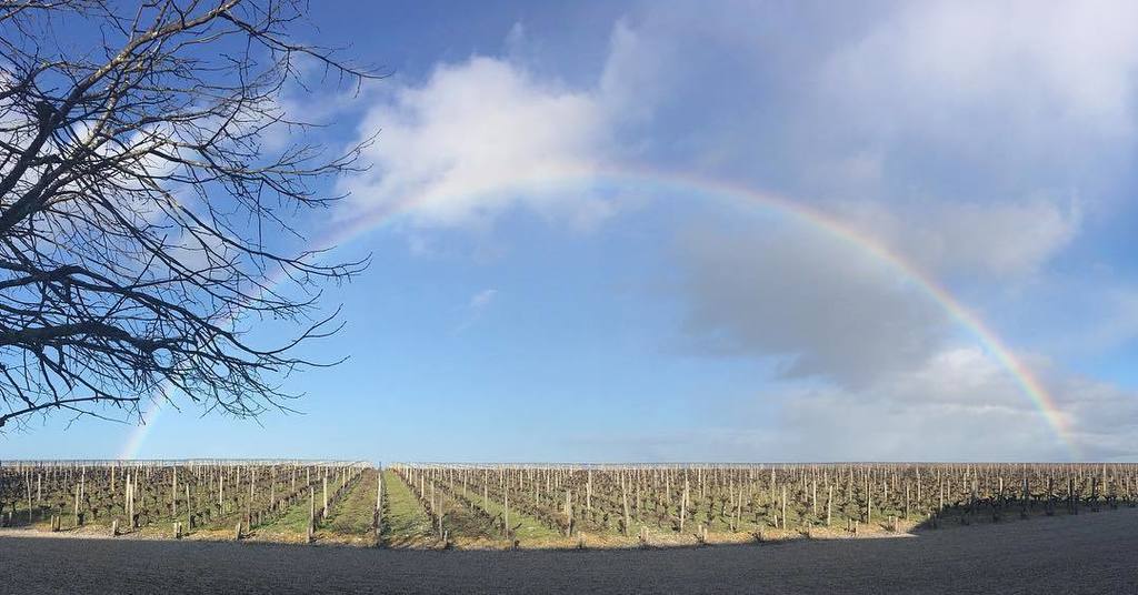 BRANE_CANTENAC's tweet image. Dame Nature sublime notre vignoble. Mother Nature is just beautiful #branecantenac #nofilt… ift.tt/2lkl2bo
