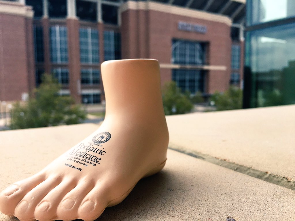 WesternU_DPM's tweet photo. Adventures of the #TravelingFoot are back! Catch us today at Texas A&amp;M from 10:30-1:30! #WesternUway https://t.co/pm22L5mZp9