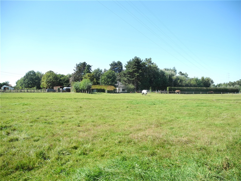 ZEER MOOI GELEGEN VILLA met PAARDENPENSION op 1,7 ha - 680.000? - Nokerseweg 103, 8790 WAREGE immobeguin.be/nl/component/p…