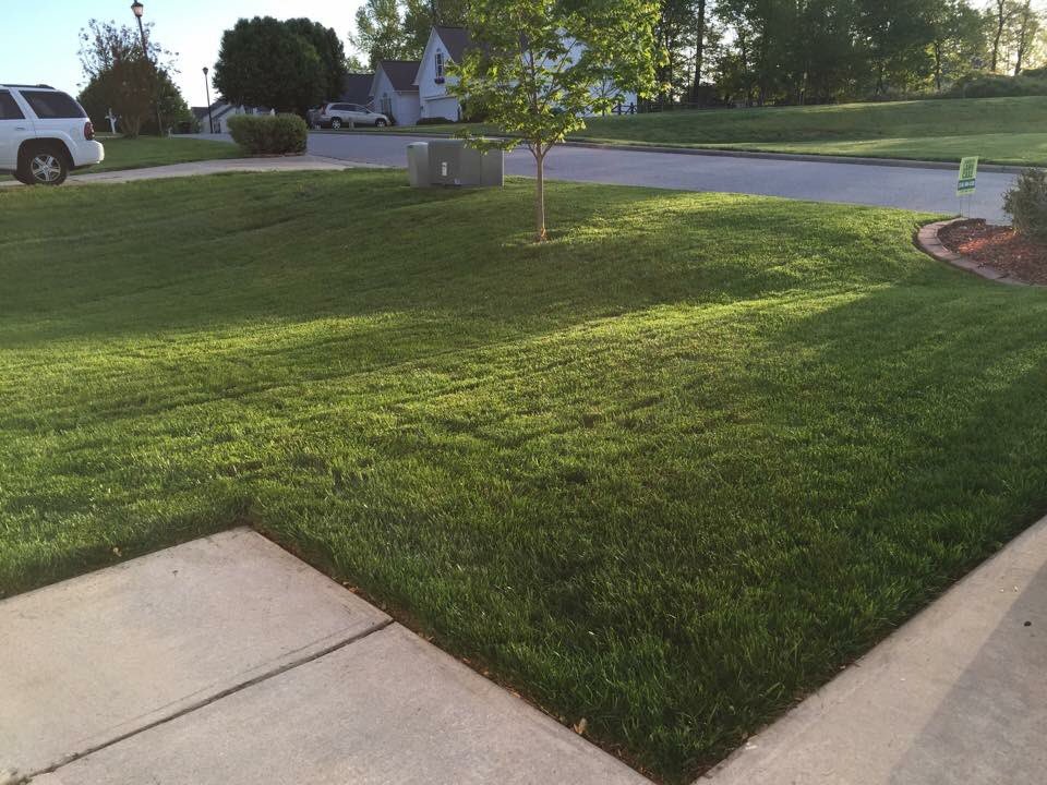 LowerysLawnCare's tweet photo. #GoGreen! (336)484-1518 https://t.co/XT7wuo0bos