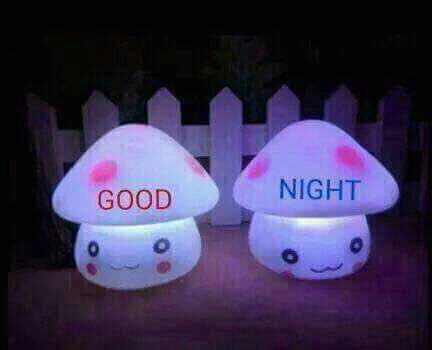 ask7191's tweet image. 