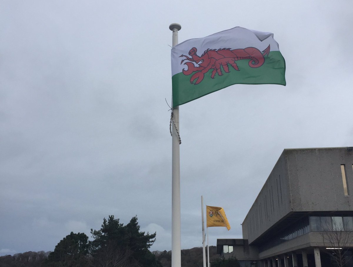 aberuninews's tweet photo. On the eve St David's Day what's happened to our flag? #DontBeALobster https://t.co/EkofOAJW9J