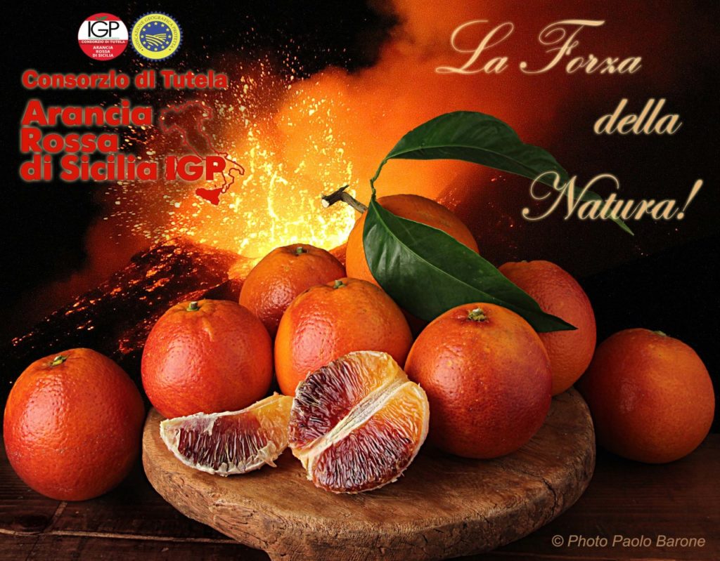 Alimentazione, l'arancia rossa igp "InViaggio" verso Identità Golose - siciliajournal.it/alimentazione-…