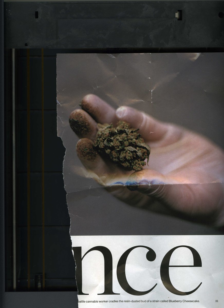 JustinCmith's tweet image. Trump watch; en.wikisource.org/wiki/Equine_In…