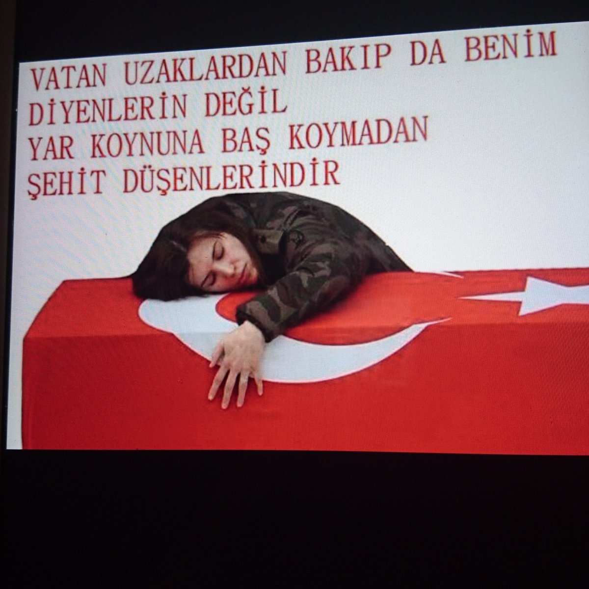 ayseucar5's tweet photo. Teröriste EvetDeme
Şehitlerin için
Ahde vefa için.. https://t.co/Wc2sVPy7Gi
