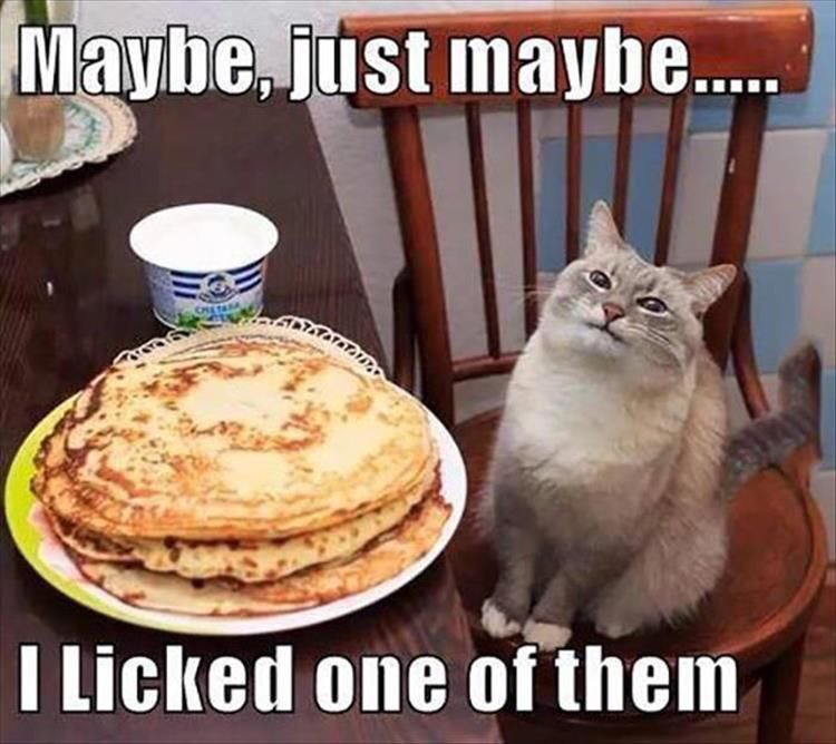 RCarolien's tweet photo. Oh Crêpe! Happy #internationalpancakeday https://t.co/R5bxUrHOYi