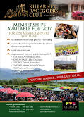 Killarney Racegoers tweet media
