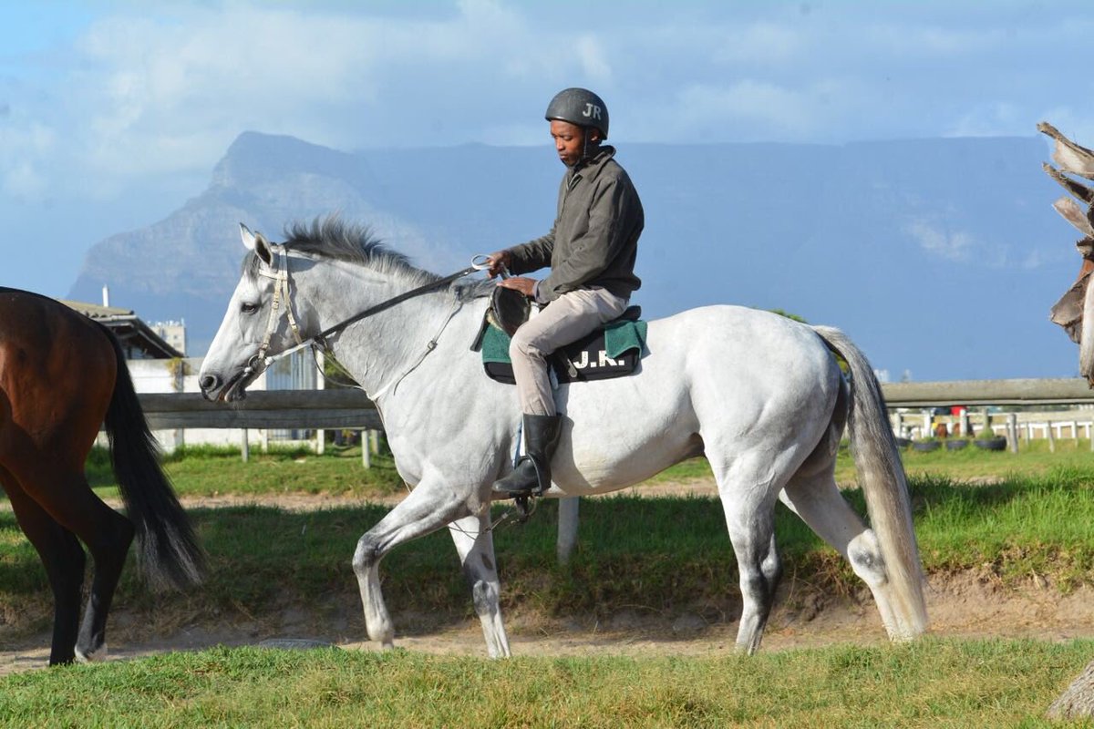 debutantedancer's tweet photo. So good to see the old boy @Gr1kingofpain strutting his stuff at #Goodhoperacingyard last week. #stillafavourite #sucker4greys https://t.co/VdrKsrTe0E