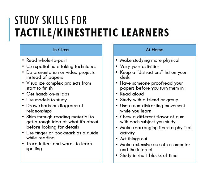 tactile learner study tips whitehorseartdraw