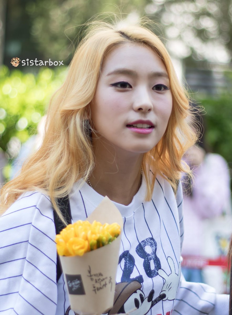 dailyborapics's tweet photo. cr. sistarbox https://t.co/vMiGbXgDEH
