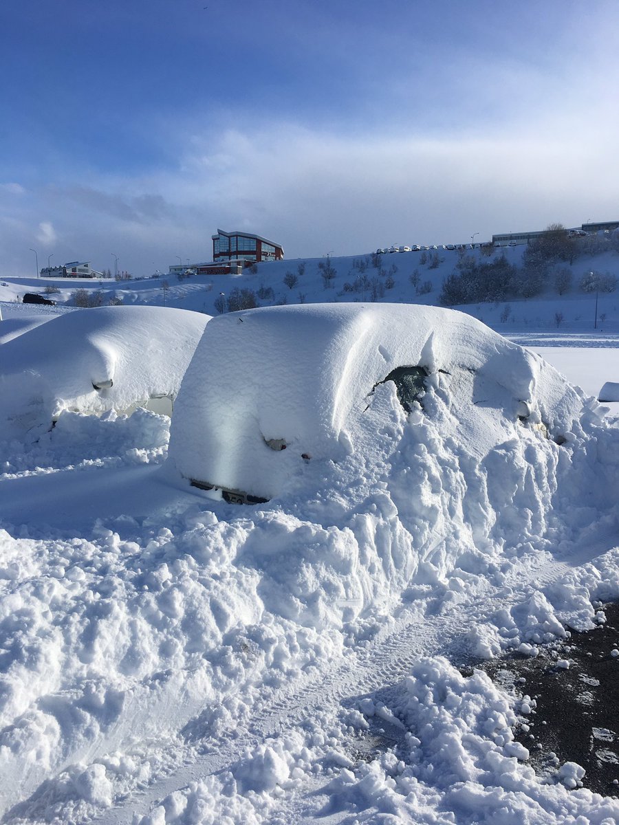 Dude! Where is my car?!!