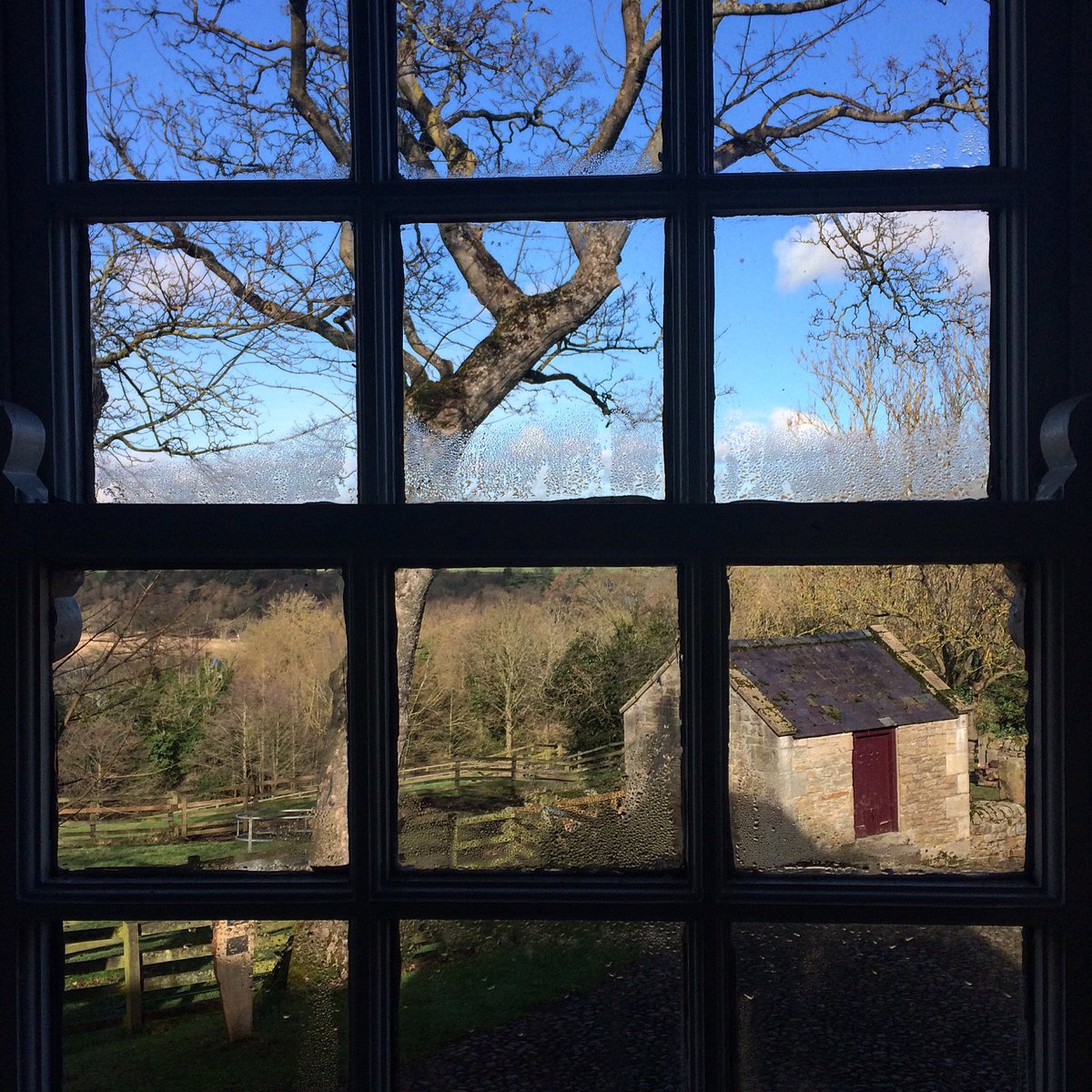 studiopinnock's tweet photo. #beautiful but chilly day at #cherryburn today @nationaltrust #February #birdwatching #landscape #thomasbewick https://t.co/jV3VMTC7q1