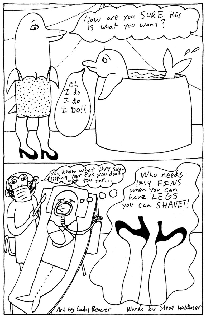 comicprov's tweet photo. Happy #TransformationTuesday!
#comics #zine #zines #comicprov #comicbook #improv #dolphins #TheLittleMermaid #Beavers #waffles #doctors https://t.co/Rx1tQc2sUY