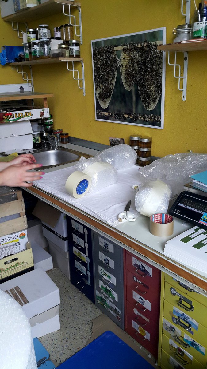 وكالة شاطيء الجواهر للسفر والسياحة tweet media