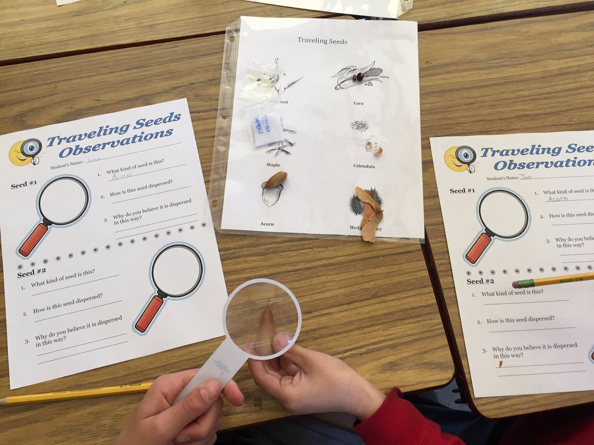 threilly's tweet photo. Having fun observing traveling seeds! Thanks Living Classroom! @lasdk8 @AlmondEagles @LAEFOnline https://t.co/ZQLKYJlerM