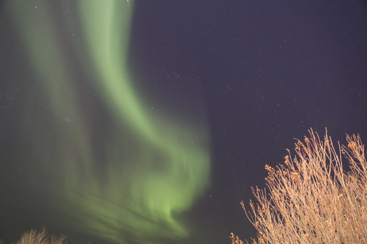 HindAbuelgasim's tweet photo. Please Don't Go πΆ ππ@-32 #music #musicphotography #SirNotch #SamFeldt #Aurora #manitoba #canada #canon #5dmarkiv #nofilter #LookNorthMB :))) https://t.co/vNueh8IUGr