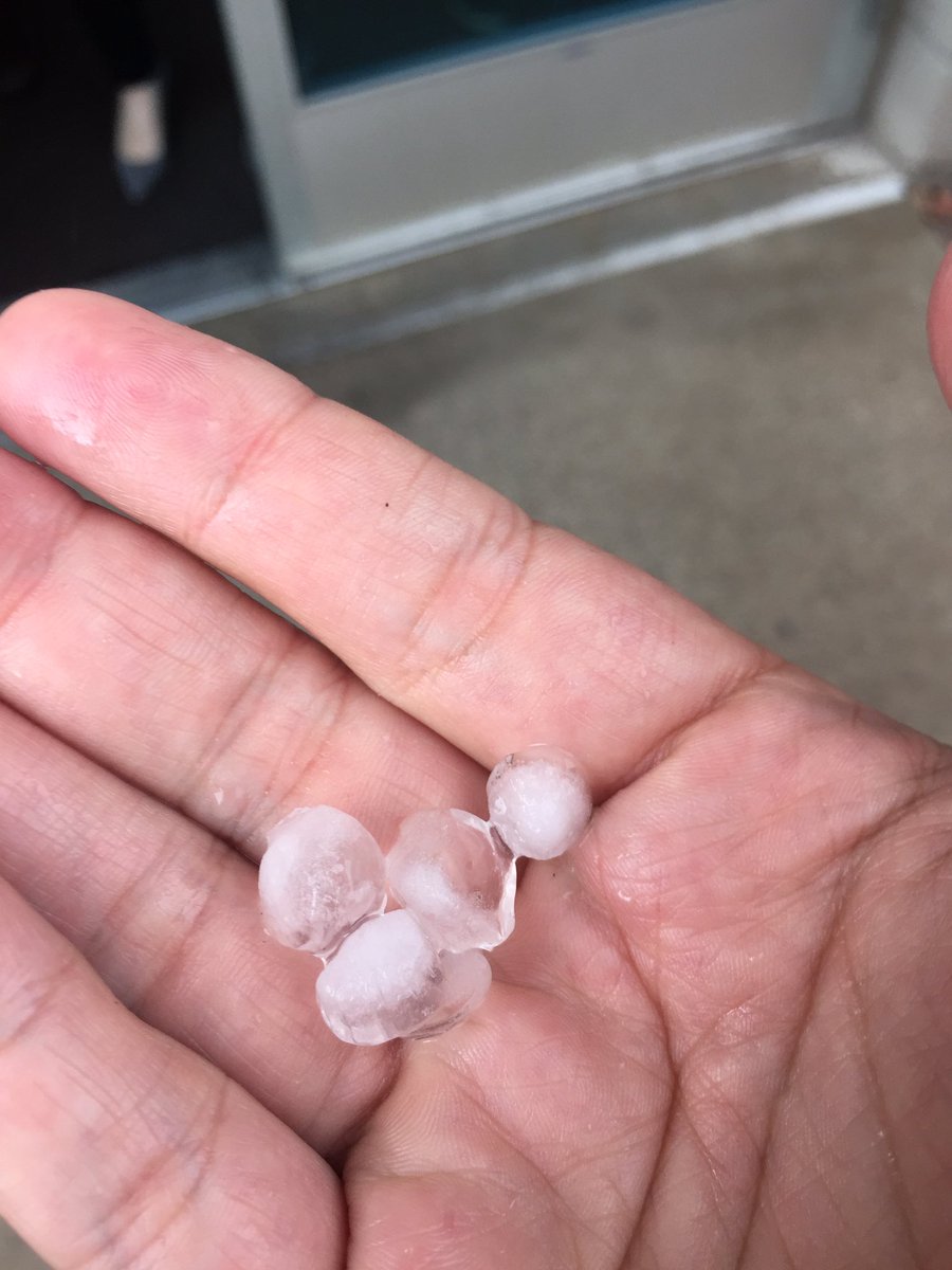 RudyRivasAZ's tweet photo. Pretty good sized hail at @abc15 near Sky Harbor. #abc15wx https://t.co/FliTRFJ5Ex