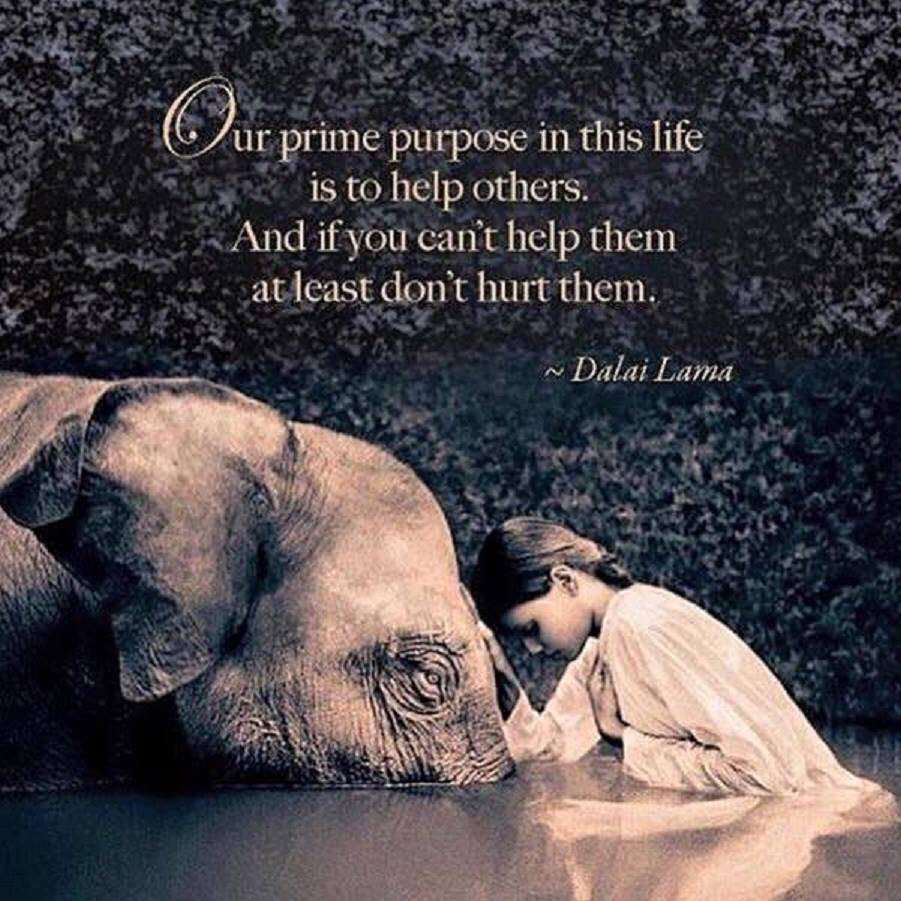 Gary Hensel tweet media