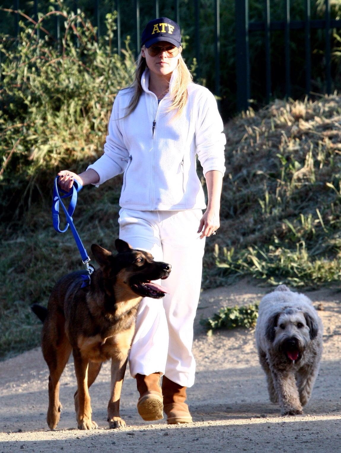 Happy birthday to model, actor and dog lover Ali Larter!  