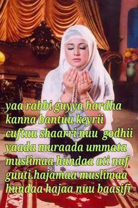 Hayat (@hayat84600210) on Twitter photo 