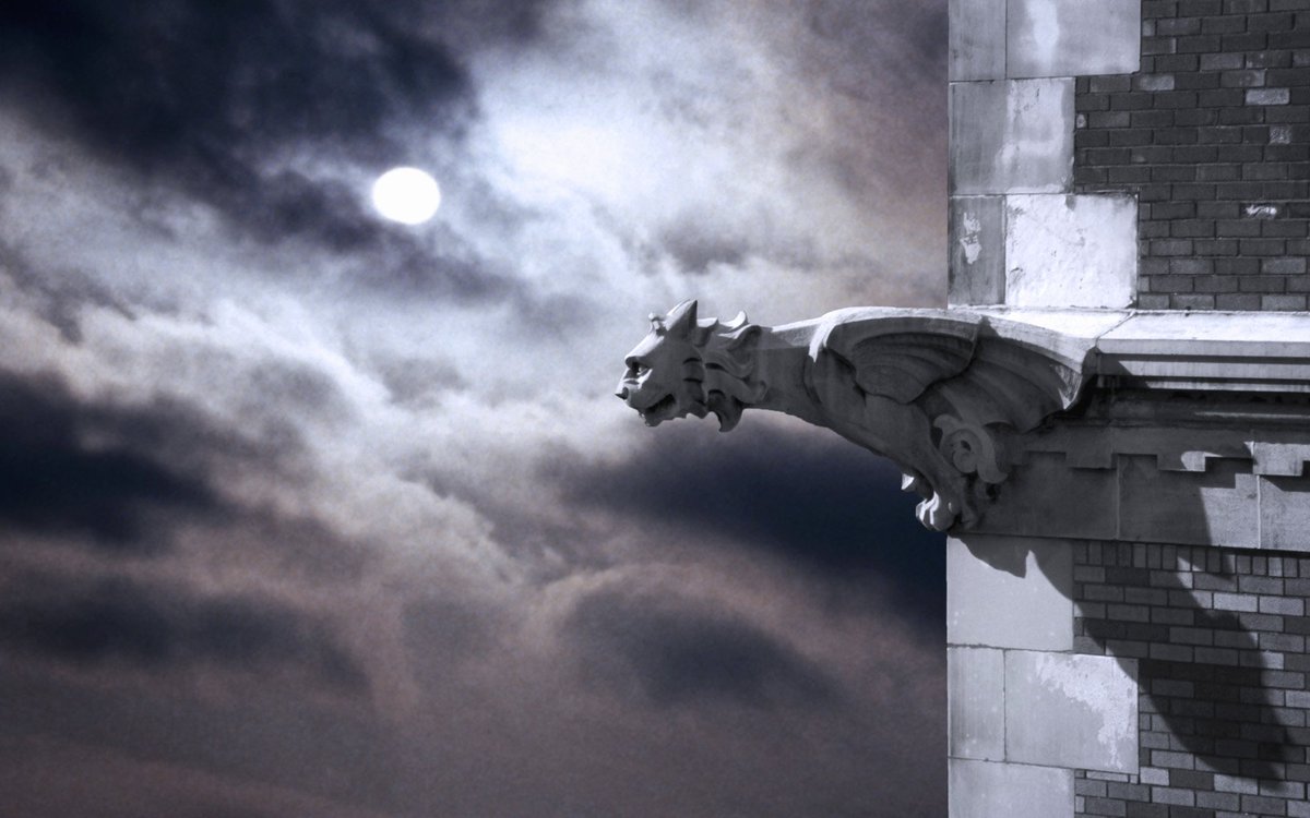 Launies's tweet image. #laughanyway