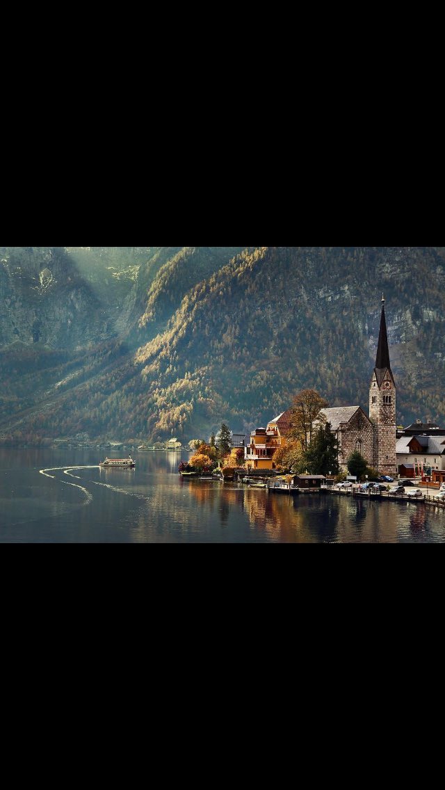 pojecttree's tweet image. 