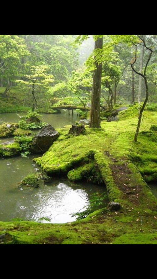 pojecttree's tweet image. 