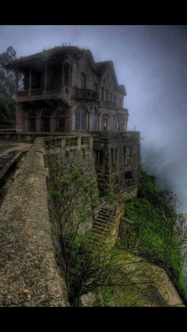 pojecttree's tweet image. 