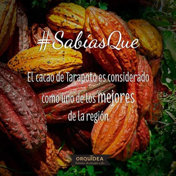 OrquideaPe's tweet photo. No quiero alardear... Ok, sí. 😎 #ChocolateOrquídea #BestCacao https://t.co/PwOnjhuITT