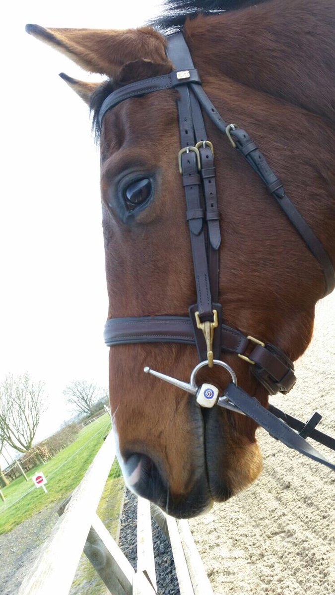 ParkfieldBreed's tweet image. Handsome P Cooper wears beautifully crafted @KateNegus - perfect combo. Add @hollyWoodhead2 and we've got ourselves a gorgeous trio ❤️🇬🇧❤️🇬🇧