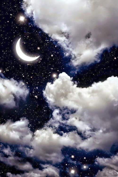 MrsMiry78's tweet photo. La lotta degli #abilitatiTfa non conosce tramonto, è infinita come una notte stellata. @CoordNazTFA #tfaeconcorso https://t.co/4GpmsGB7LW