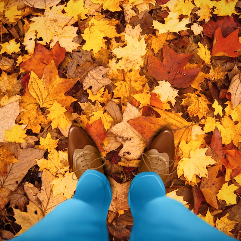 Austin_scapes's tweet image. They say, a goal without a plan is just a wish. I think it’s just about time I plan my fall leaf removal strategy! #Goals2017