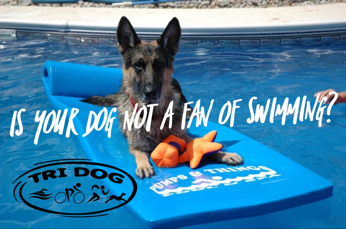 TriDogEvents's tweet photo. We have #Triathlon #duathlon and #teamtriathlon events at our April event - check out our Facebook page or website for more info... https://t.co/T6D3tbmyEa