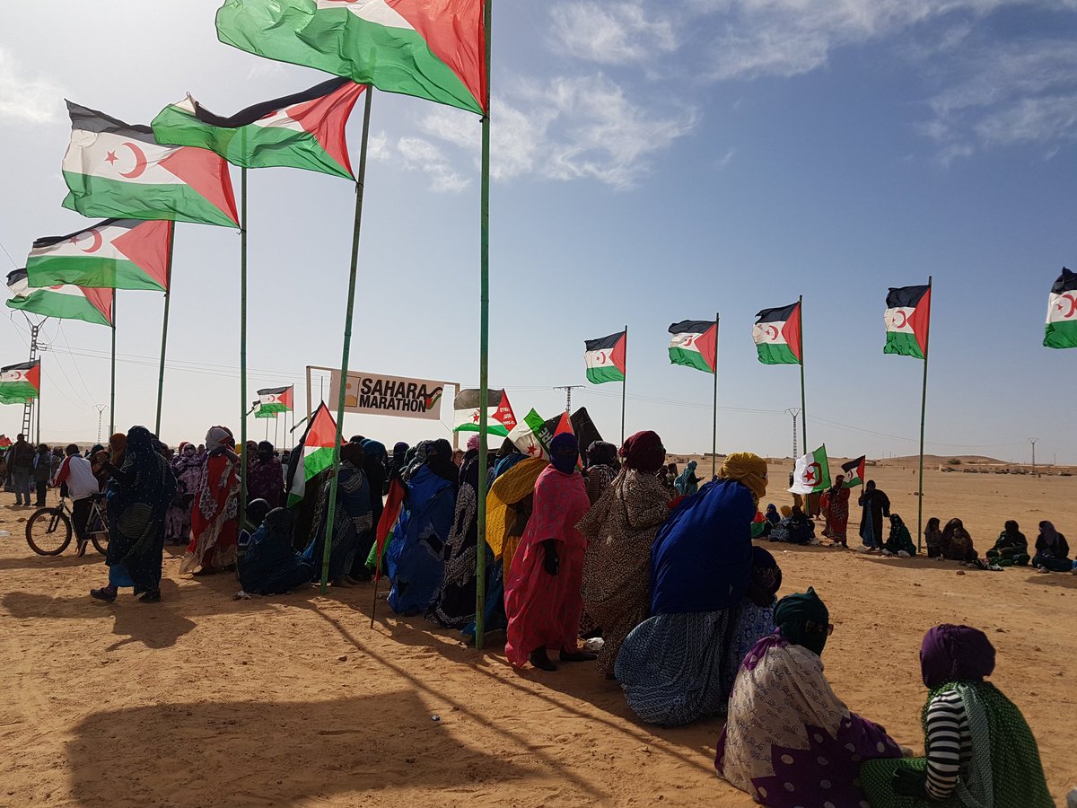#SaharaMarathon ~An amazing day of solidarity in #refugeecamps. And opportunity for international society to engage for good. #SaharaLibre