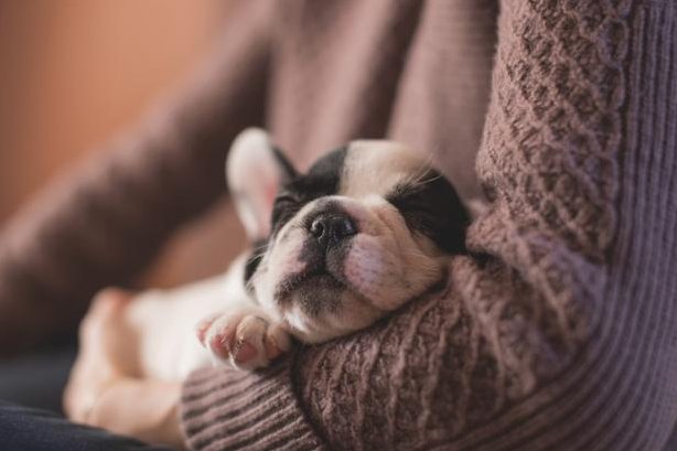 amilestoneprop's tweet photo. Sleep soundly at #TheSycamore! 💤  Security, privacy &amp; low noise levels is very important to us. Learn more: https://t.co/r3manj8jGf. #Omaha https://t.co/O7SFxCSRhi
