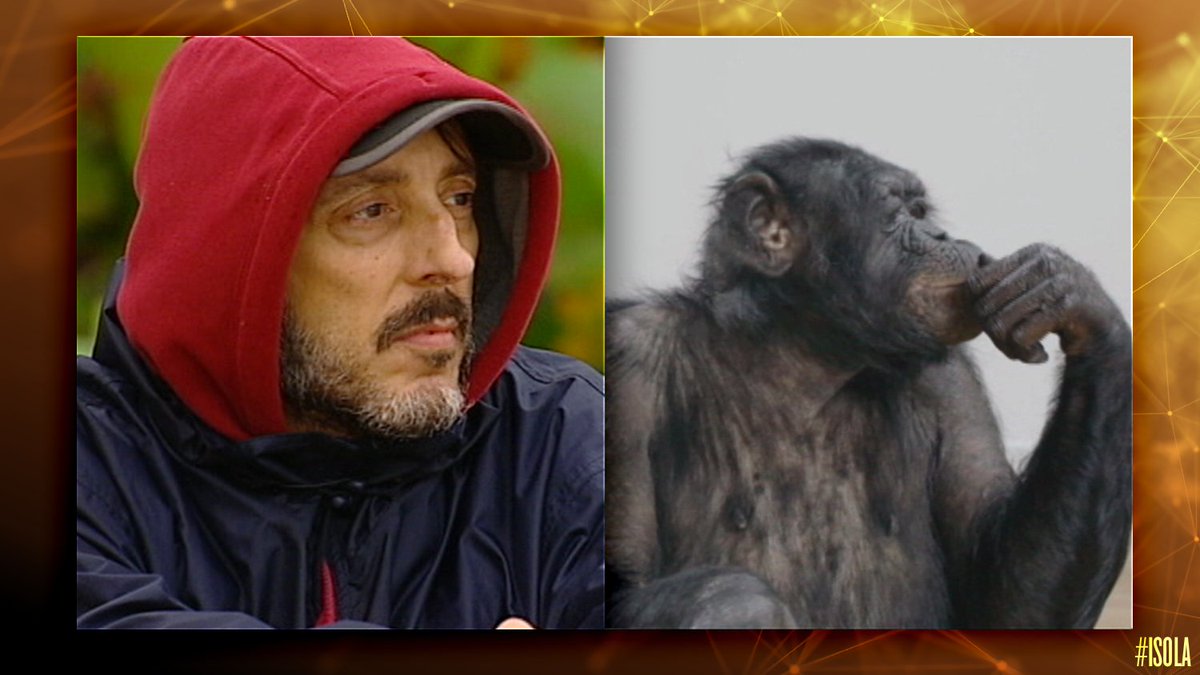 Trova le differenze! #Isola