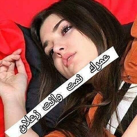 #عقل_بلتاجي