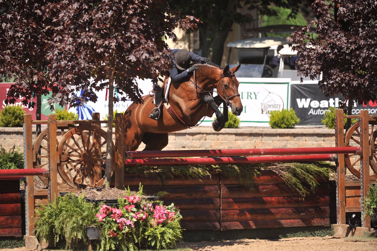 #throwback to the big derby options and beautiful horses taking them with ease😍😍😍#goals